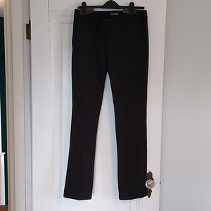 Express Straight Leg Dress Pants